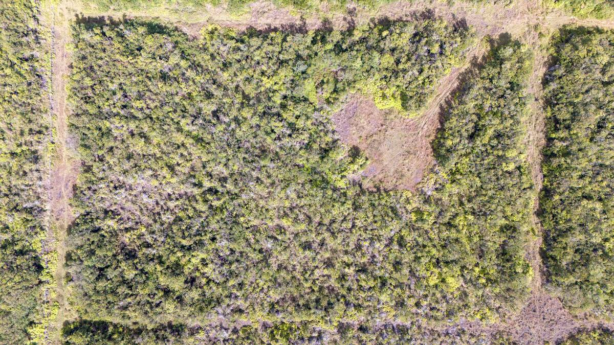 Volcano, HI 96785,GLENWOOD RD