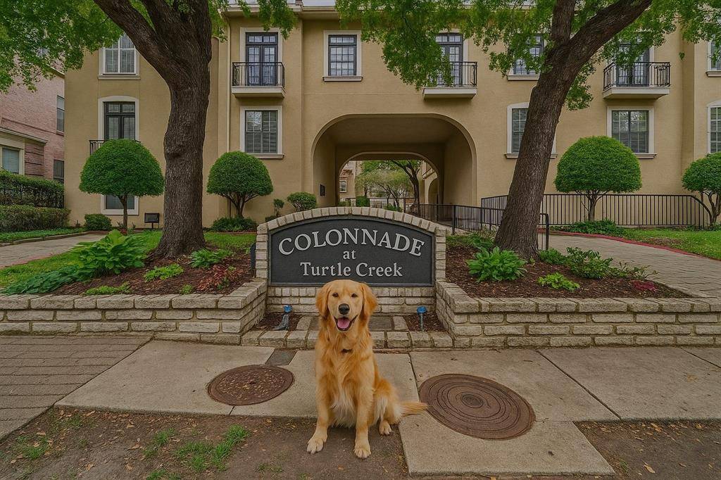 Dallas, TX 75204,3311 Blackburn Street #109