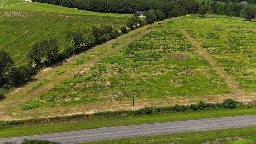 Headland, AL 36345,0-LOT 4 County Road 17
