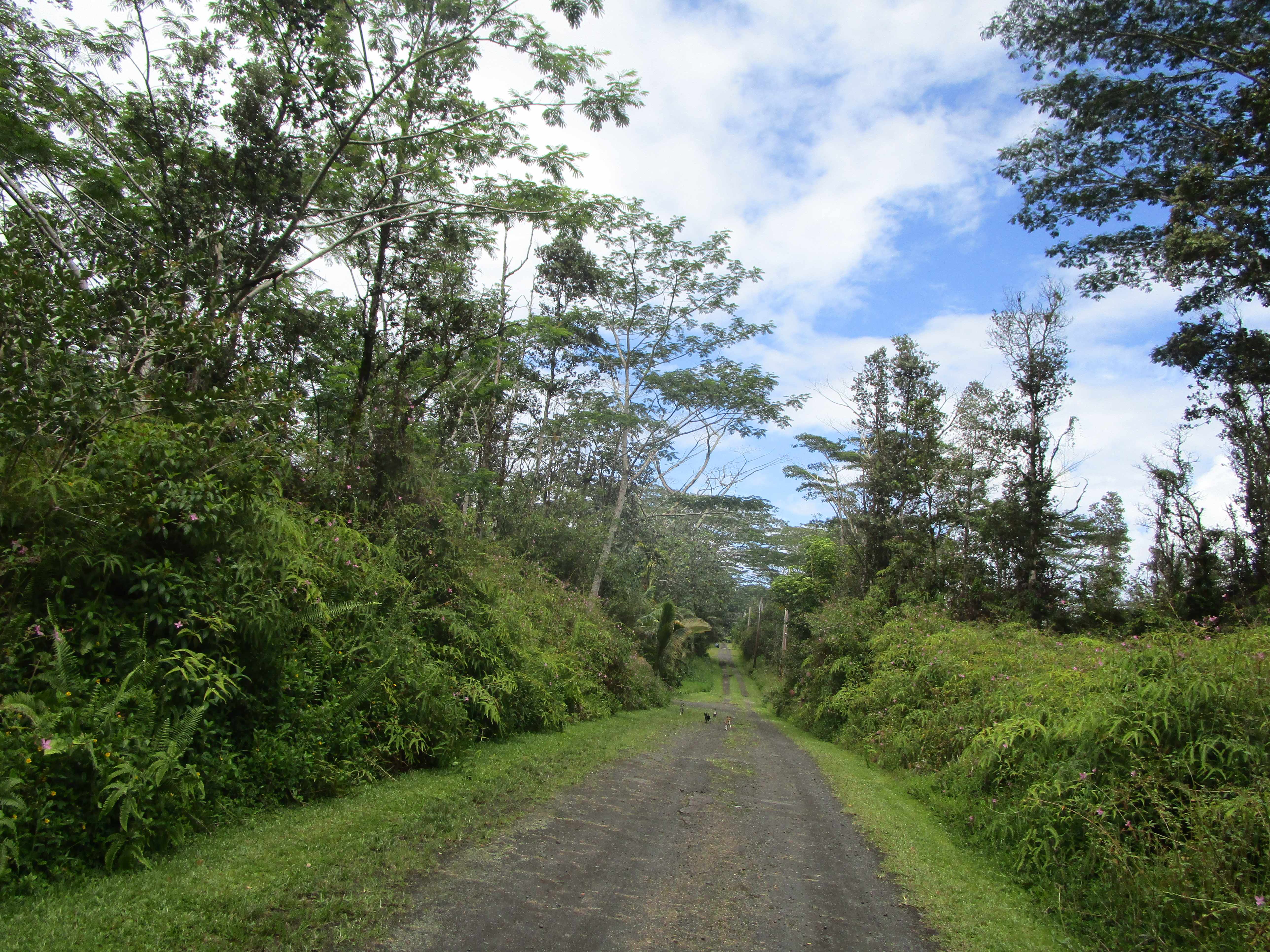 Pahoa, HI 96778,LEHUA RD