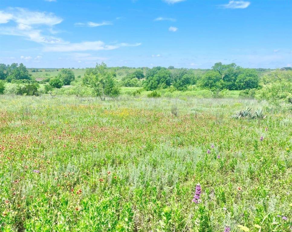 Comanche, TX 76442,LOT 69 Greenwood Road