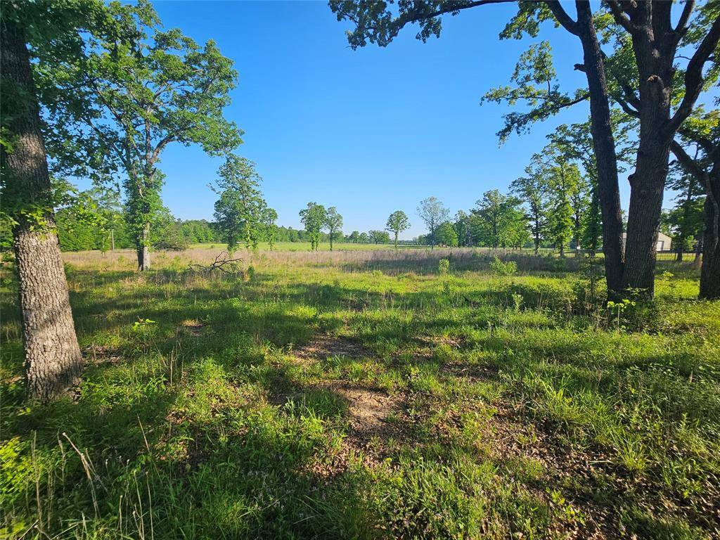 Shreveport, LA 71106,0 N Lakeshore Drive