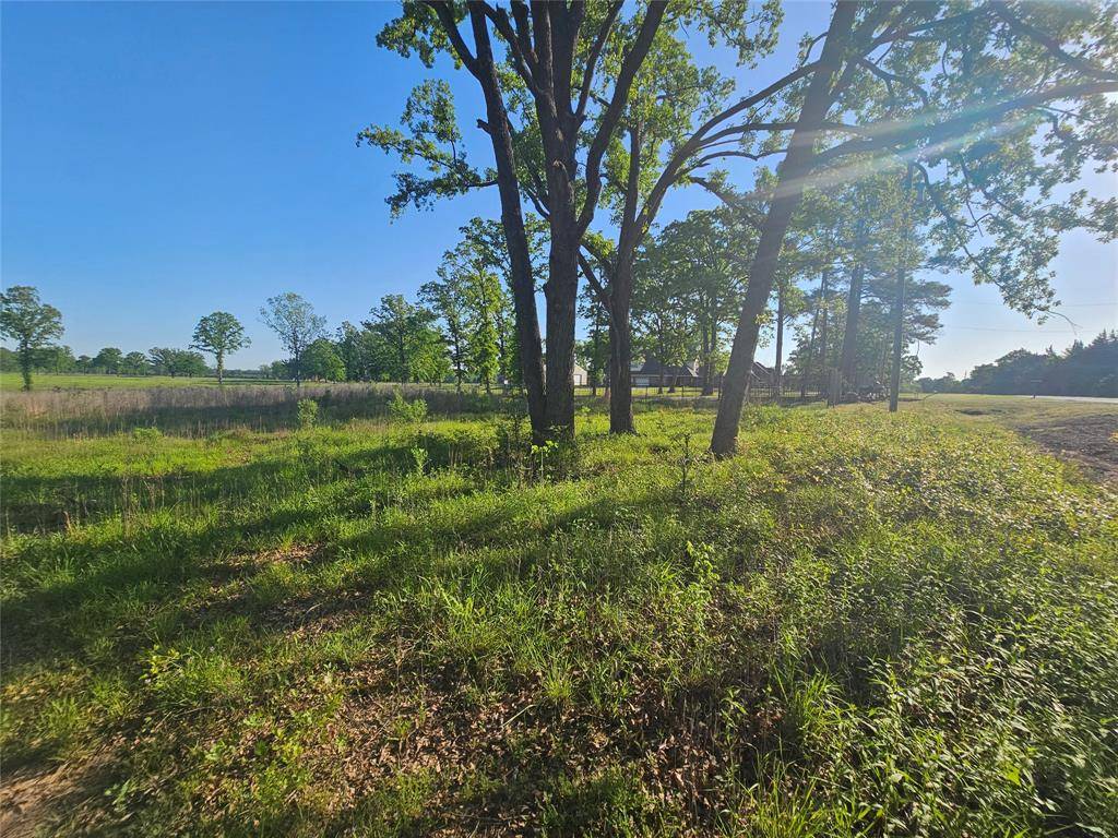 Shreveport, LA 71106,0 N Lakeshore Drive