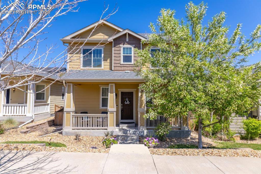 Castle Rock, CO 80109,3793 Cadence DR