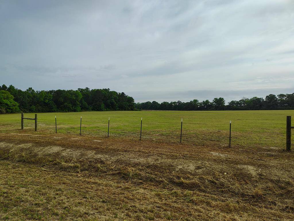 Ashford, AL 36312,0 1ST AVE