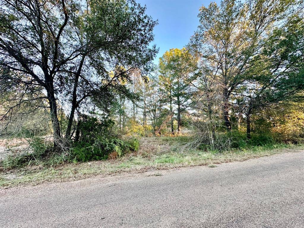 Gun Barrel City, TX 75156,y Flagship Lane