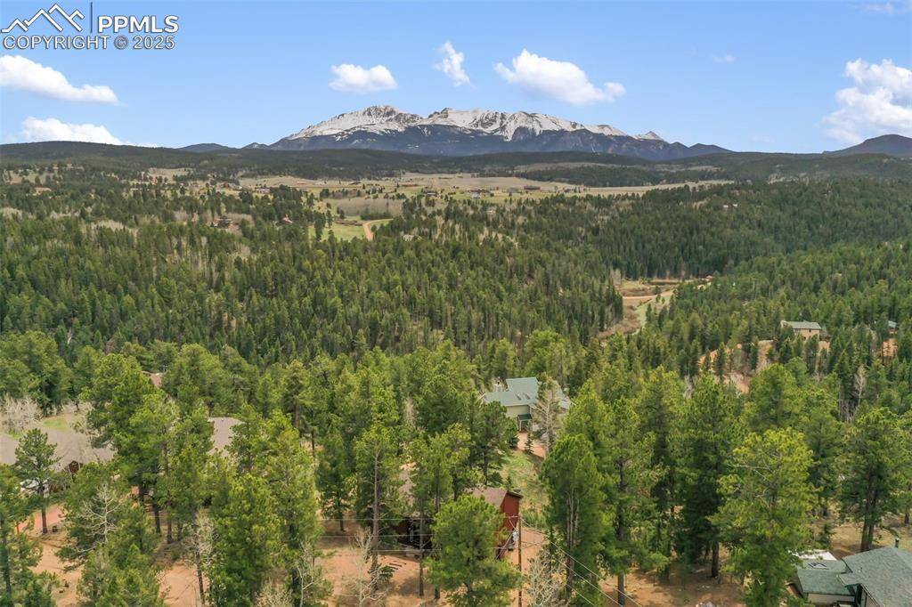 Woodland Park, CO 80863,121 Aspen DR