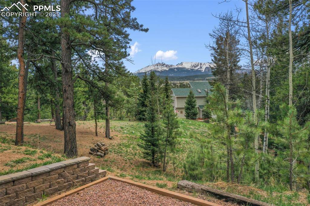 Woodland Park, CO 80863,121 Aspen DR