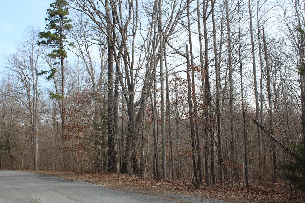 Virgilina, VA 24598,00 Kingswood Road
