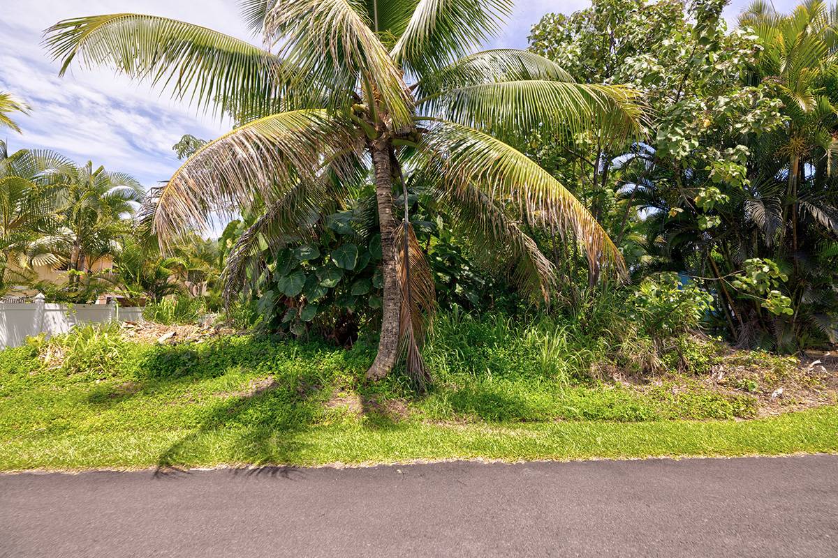 Pahoa, HI 96778,ALU LEPE ST