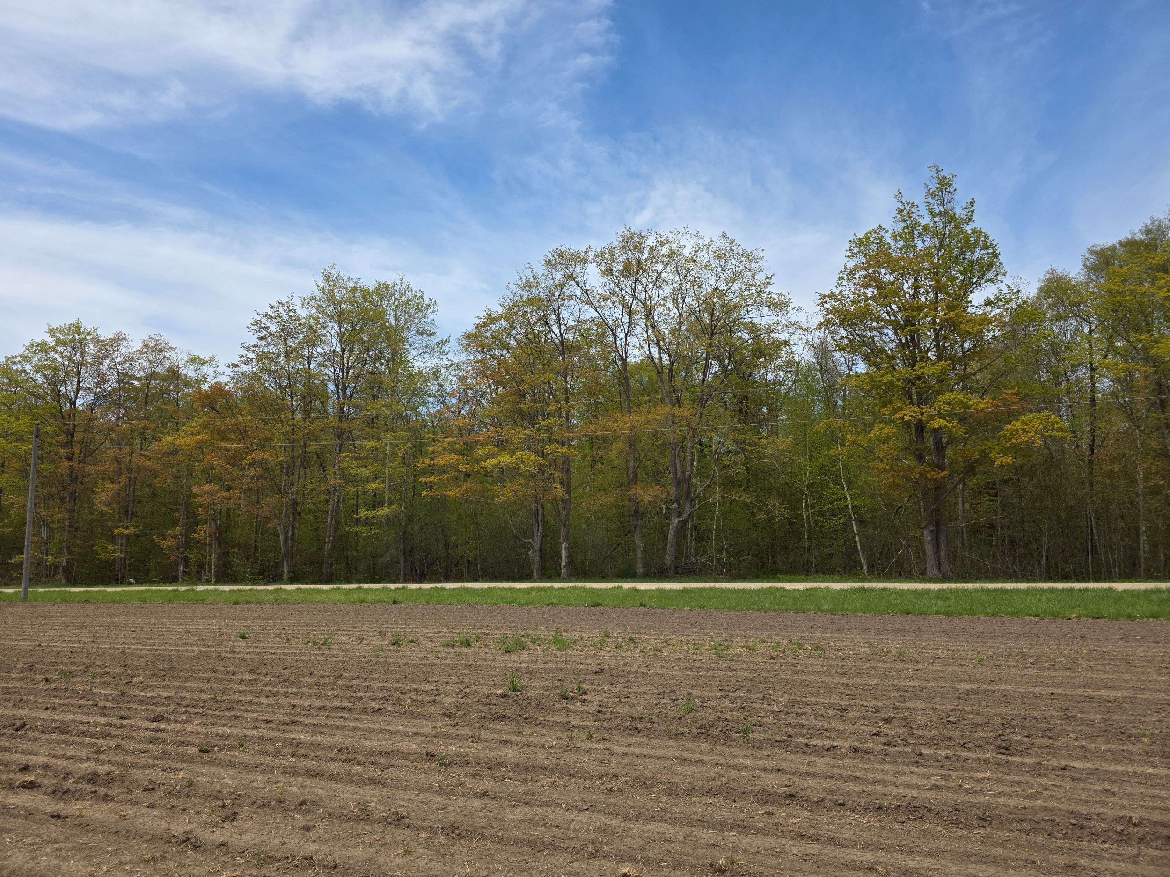 Bluewater, ON N0M 1G0,V/L(2ac) Sugarbush PIN 412070207 RD