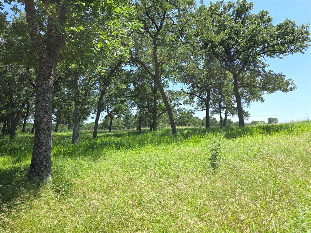 Streetman, TX 75859,Lot 15R SE County Rd 2359b