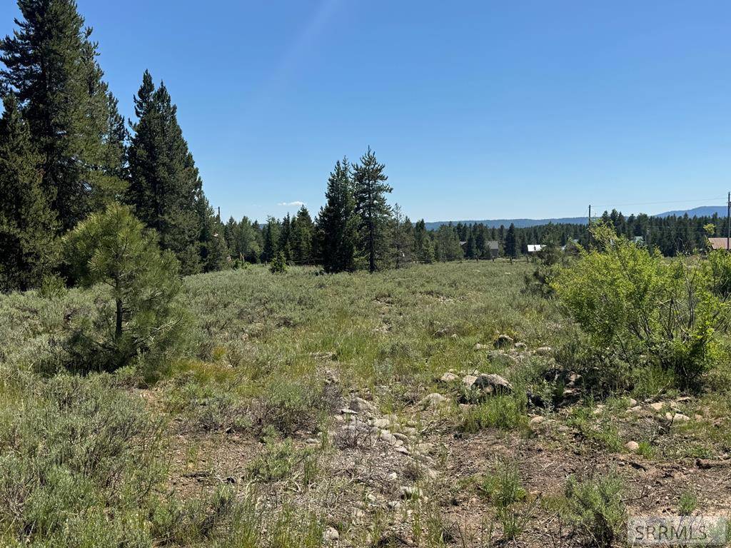 Island Park, ID 83429,4100 Yale Creek Road