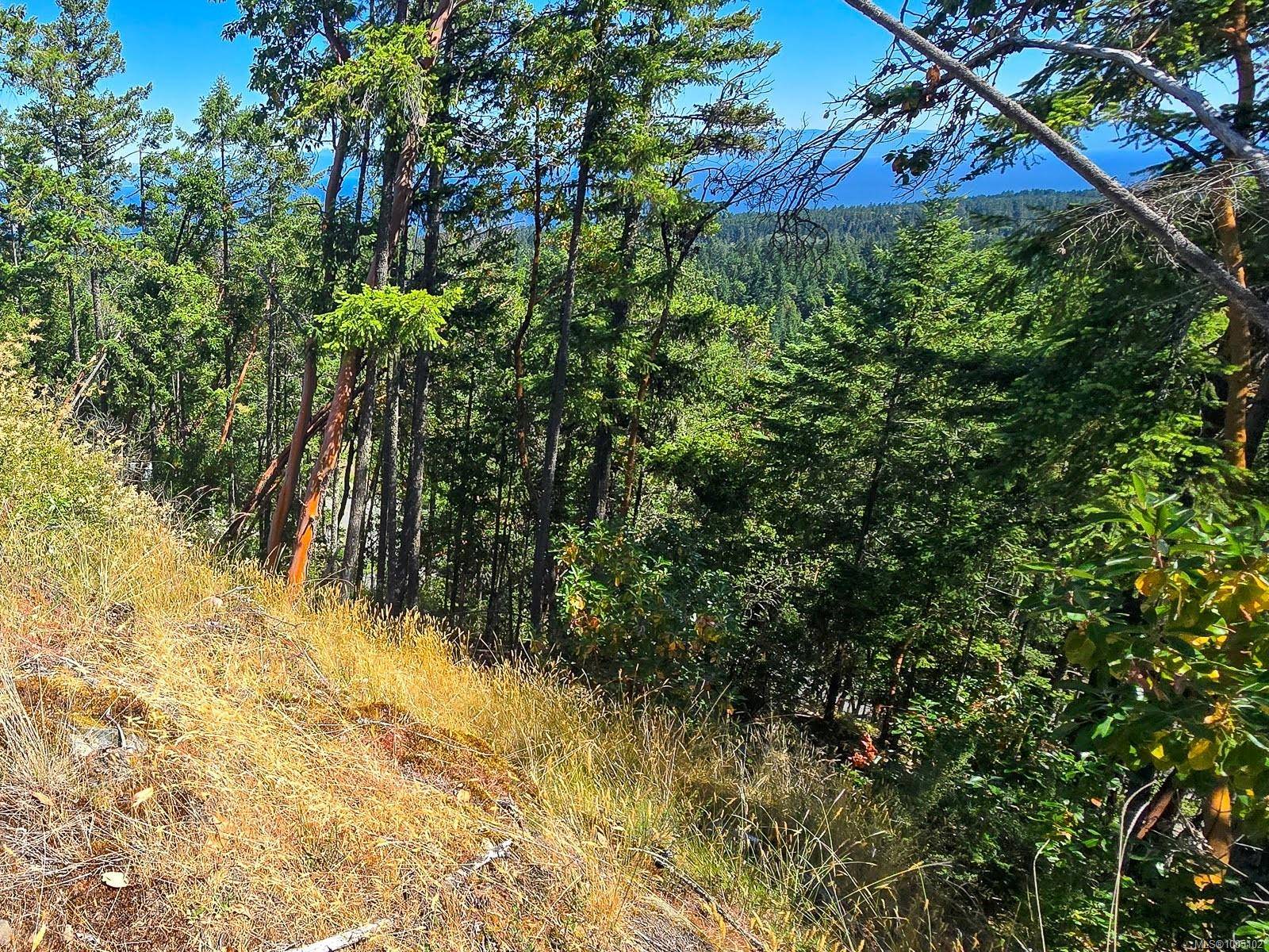 Lantzville, BC V0R 2H0,5040 Broad Ridge Pl