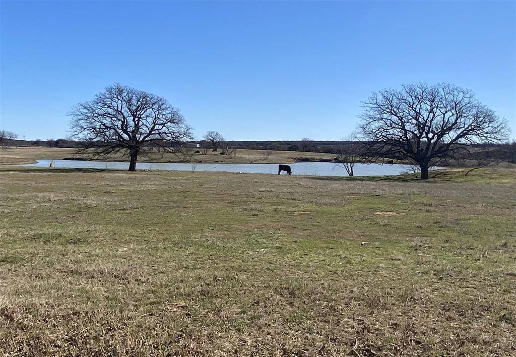 Mineral Wells, TX 76067,104 Long View Drive