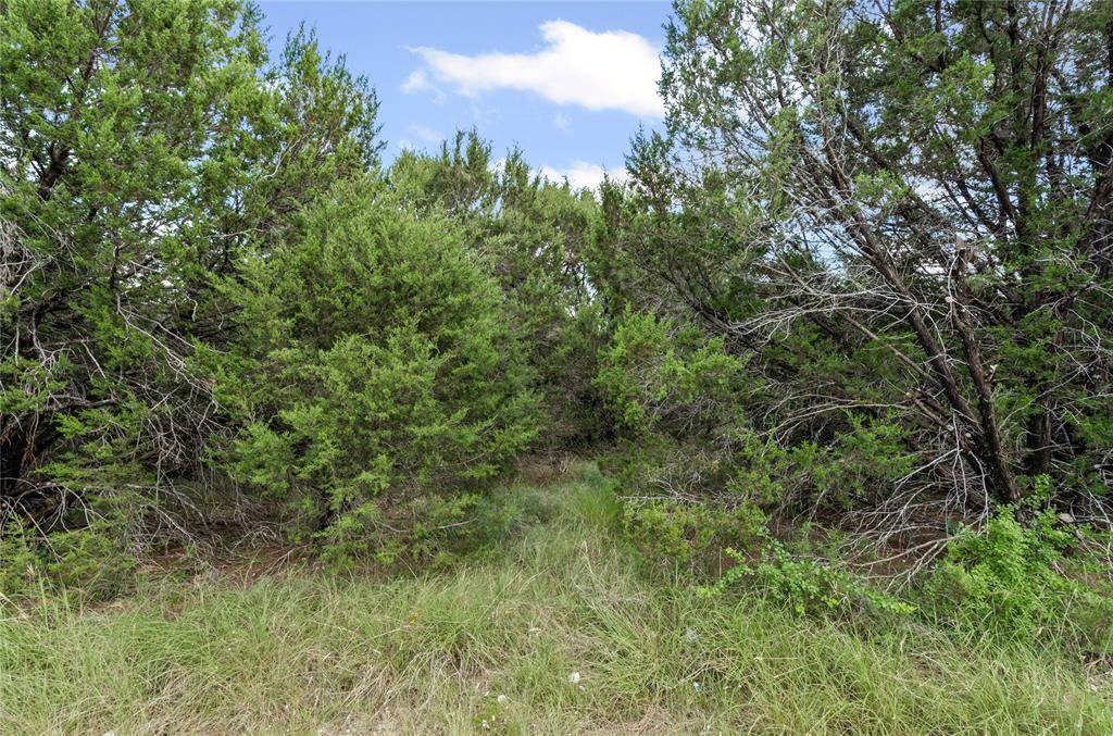 Granbury, TX 76048,821 Pecos River Drive