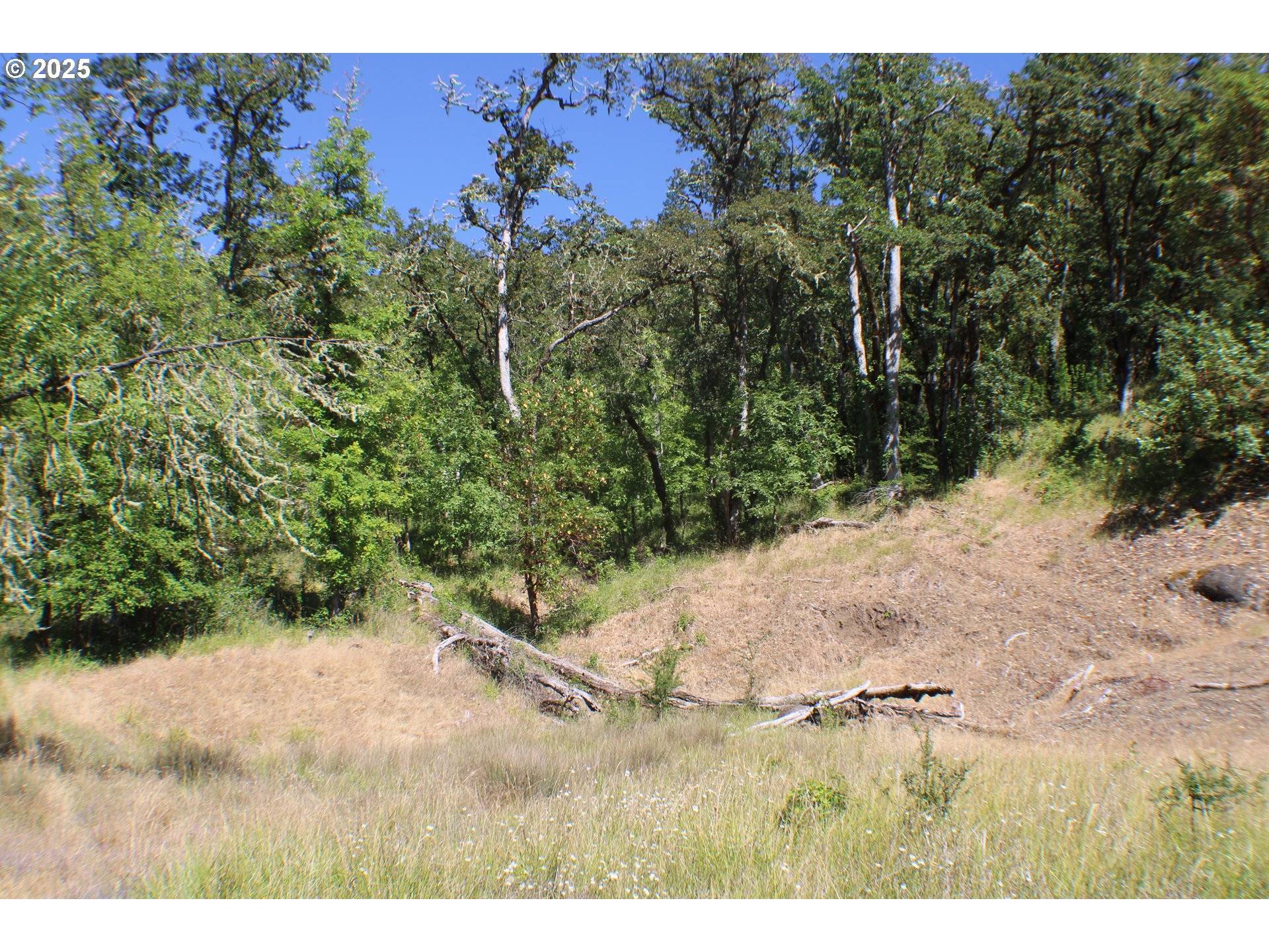 Roseburg, OR 97471,0 SIERRA DR