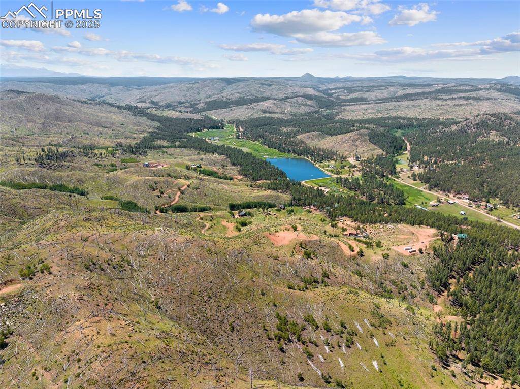 Woodland Park, CO 80863,14764 Columbine CIR