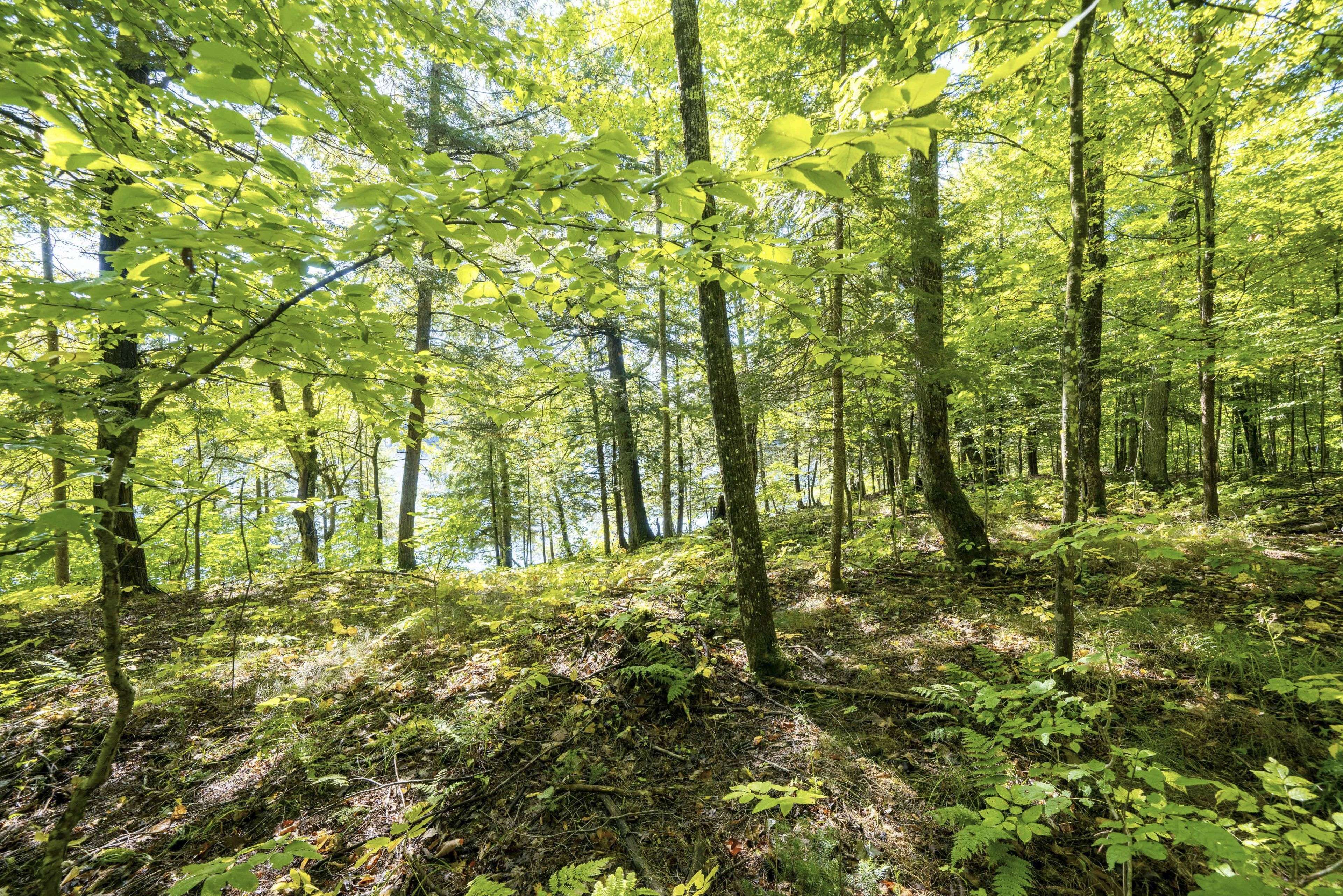 Huntsville, ON P1H 2J2,40 STILLWATER LN