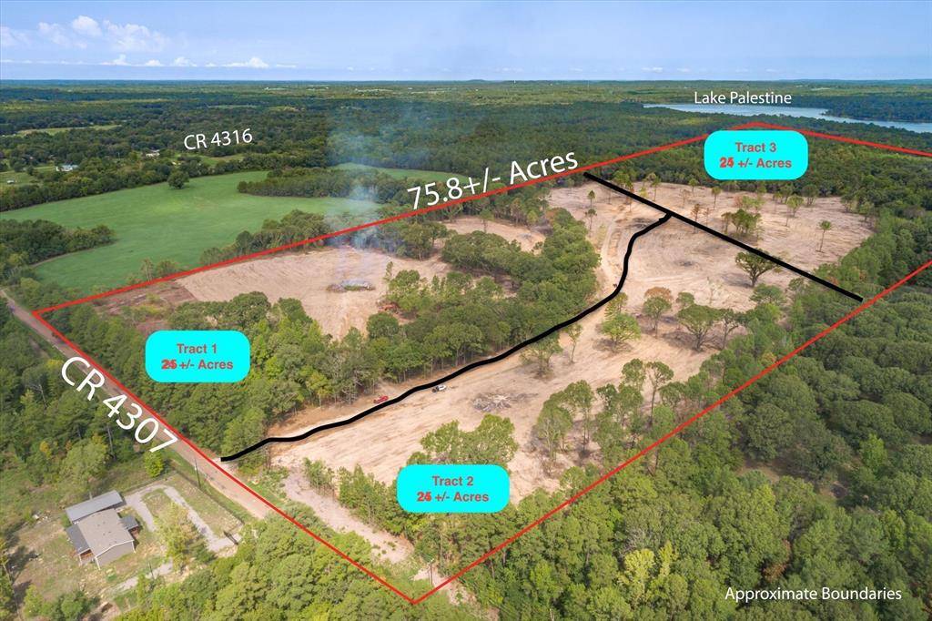 Larue, TX 75770,Tract 1 - TBD County Road 4307
