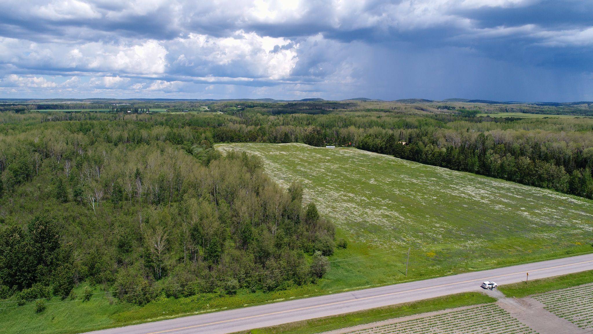 Englehart, ON P0J 1H0,234038 Dairy LN