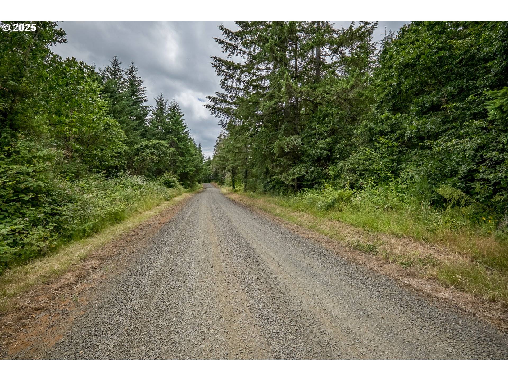 Dallas, OR 97338,0 McTimmonds RD