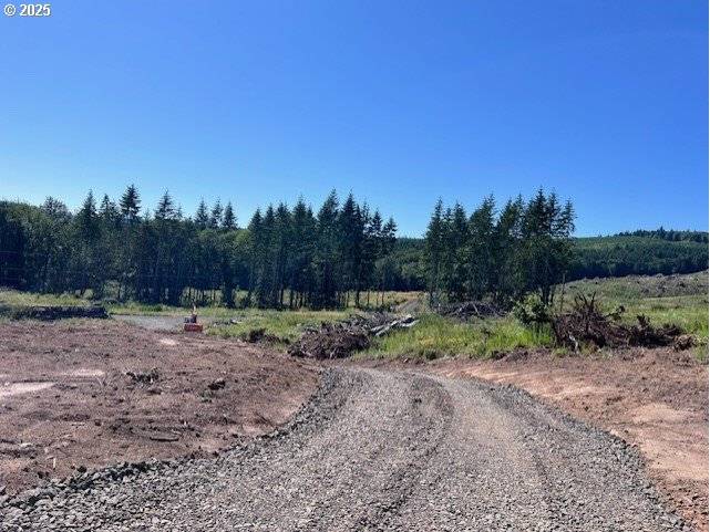Rainier, OR 97048,Nick Thomas RD