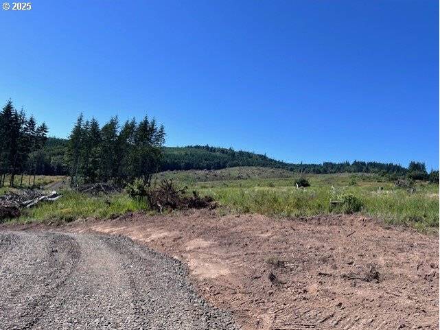Rainier, OR 97048,Nick Thomas RD