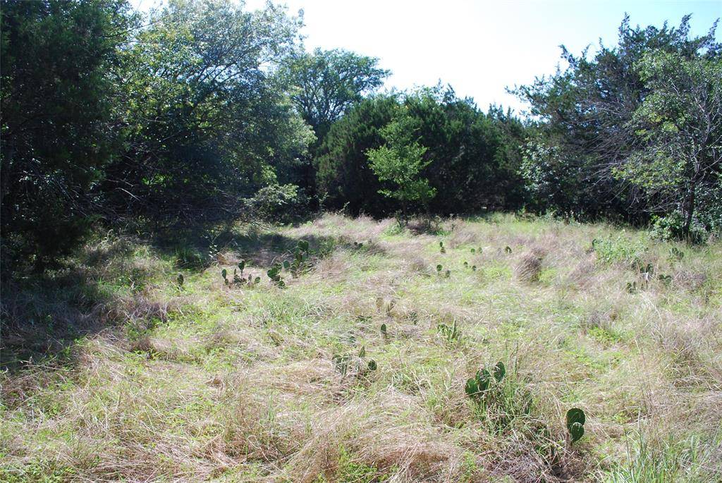 Whitney, TX 76692,1306 Overlook Drive