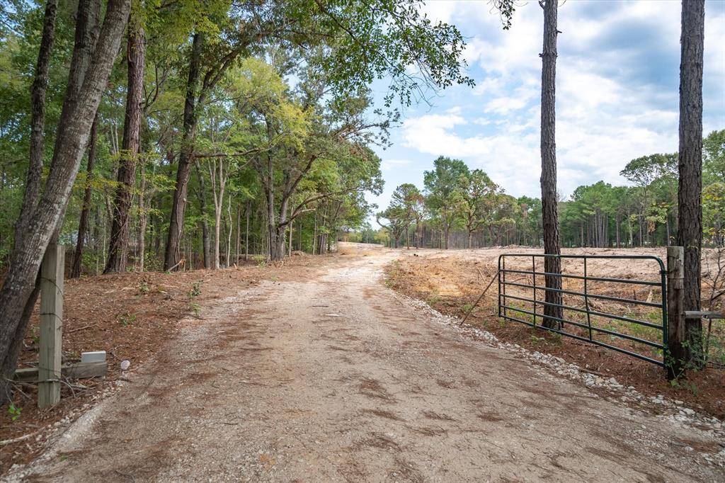 Larue, TX 75770,Tract 3 - TBD County Road 4307