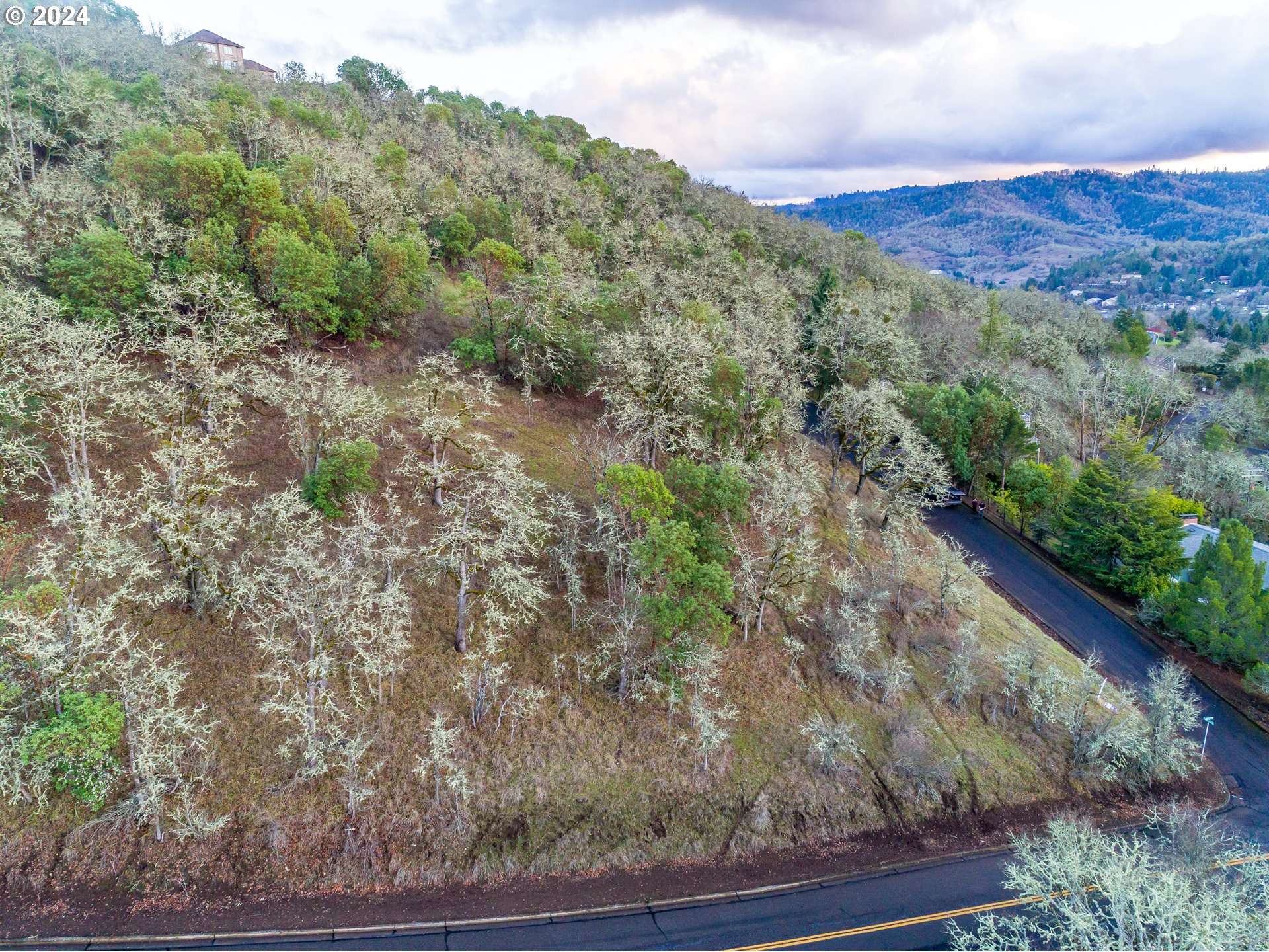 Roseburg, OR 97470,NE SUNSET ST