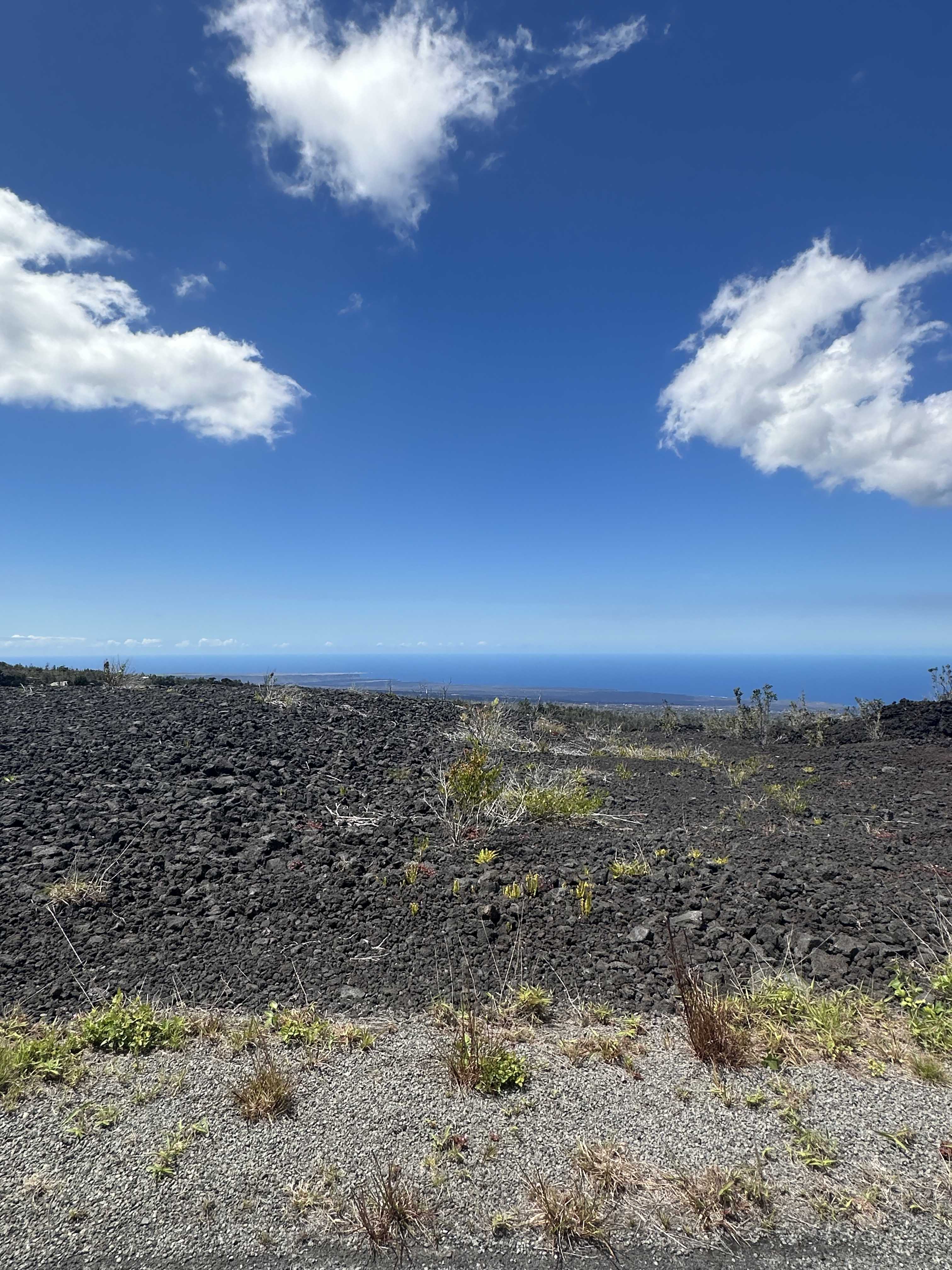 Ocean View, HI 96737,92-8961 TIKI LN