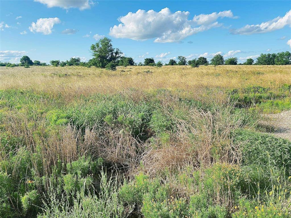 Sulphur Springs, TX 75482,Lot 11 Ridgeway Ranches
