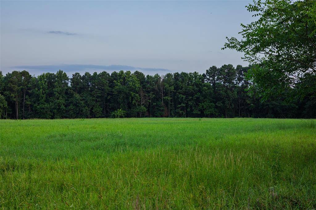 Overton, TX 75684,00 County Road 173