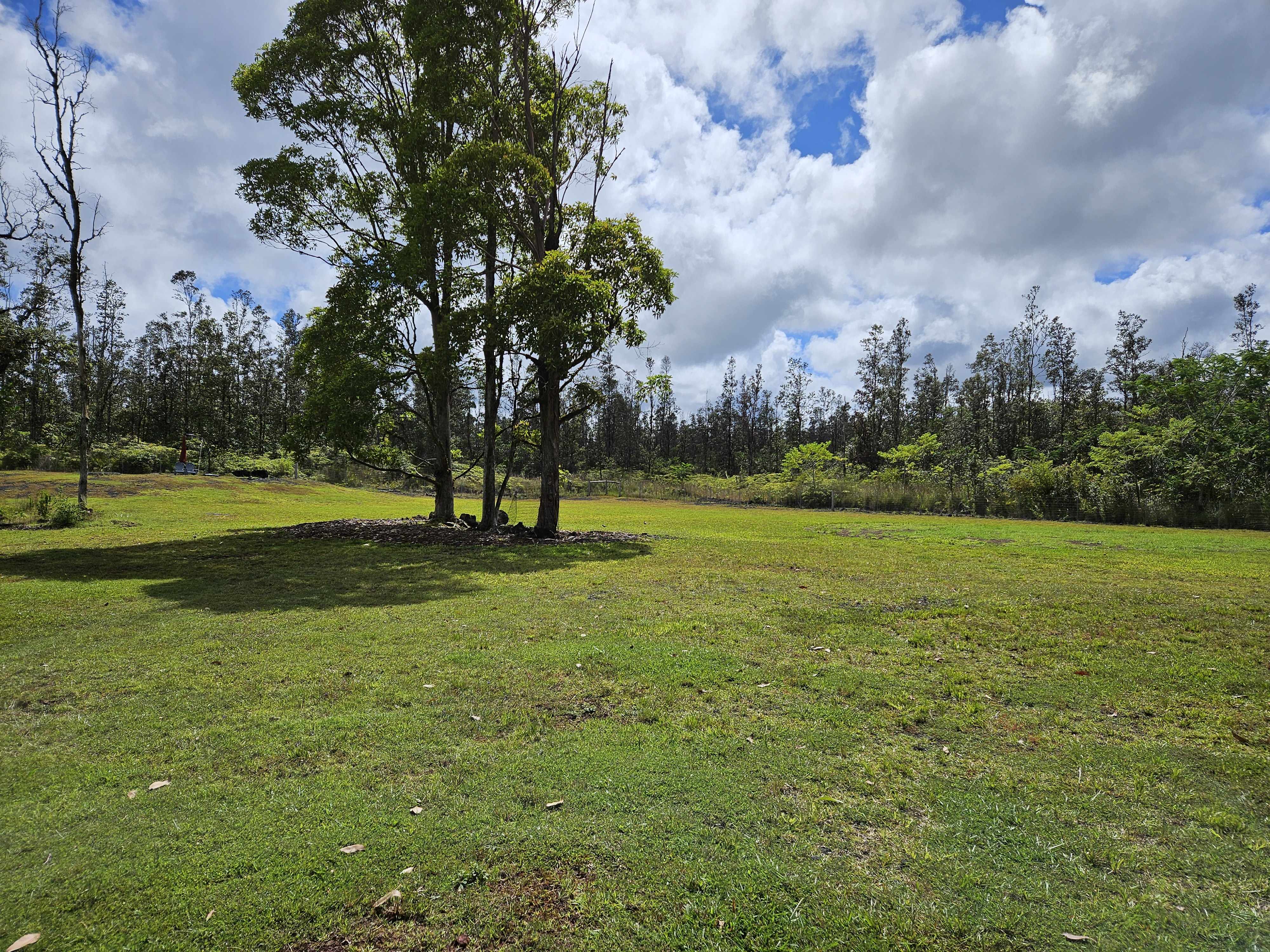 Mountain View, HI 96760,16-1436 UHINI ANA RD