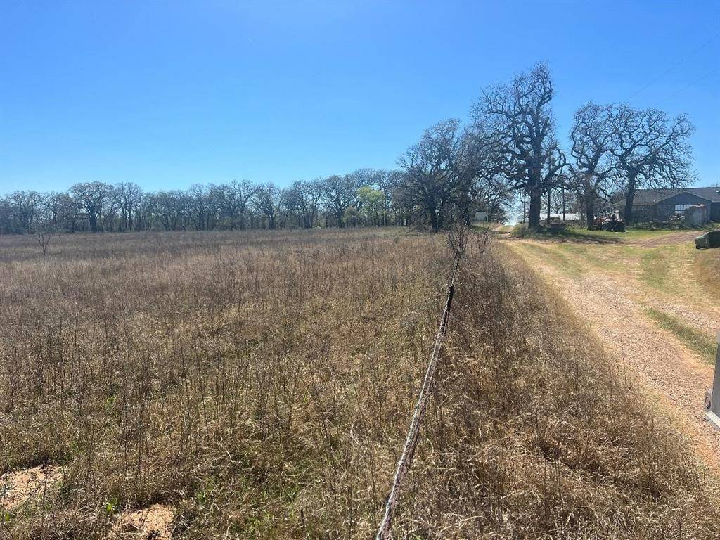 Whitney, TX 76692,TBD Twin Cypress Lane
