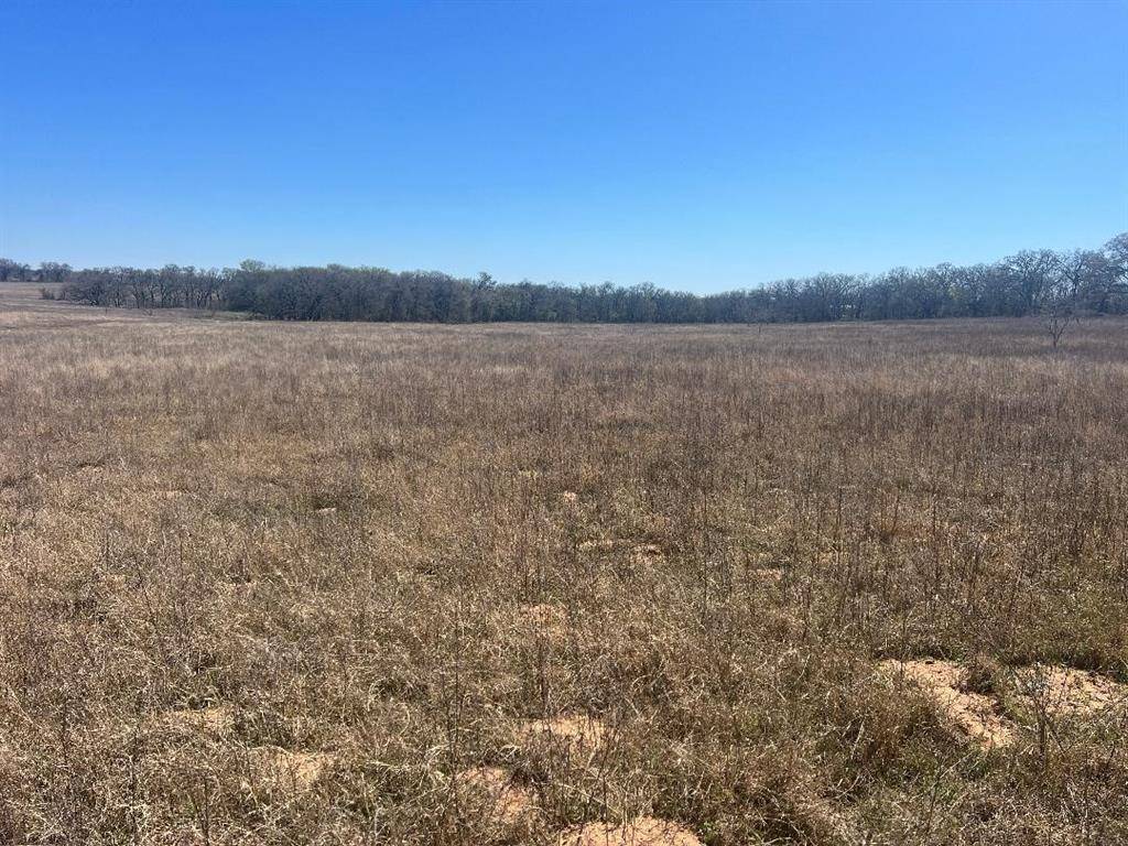 Whitney, TX 76692,TBD Twin Cypress Lane