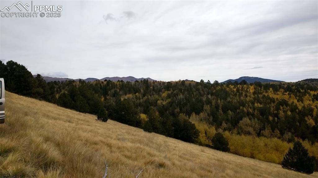 Cripple Creek, CO 80813,Highway 67