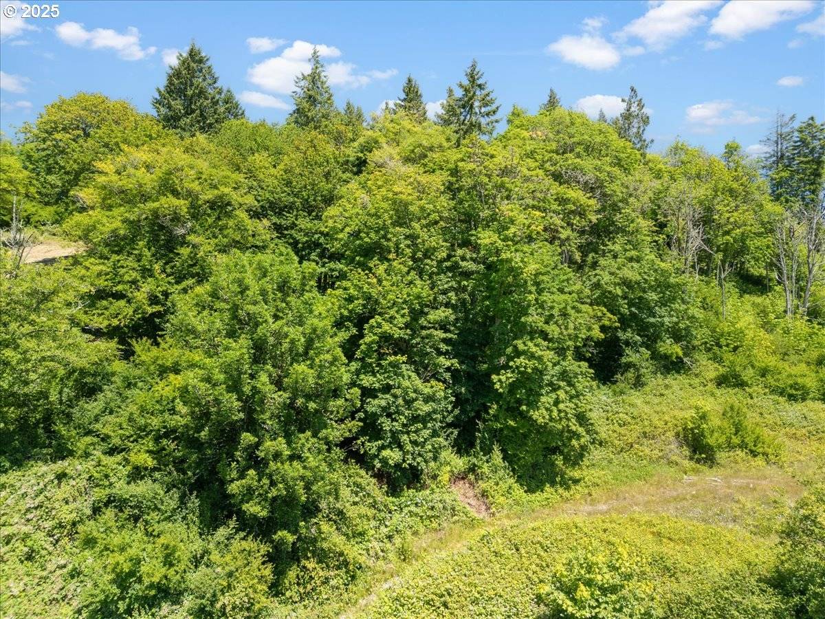 Longview, WA 98632,00 Bergly Ln