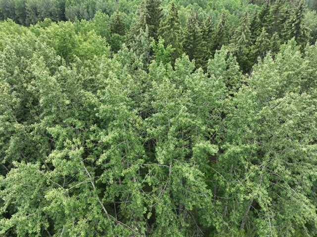 Rural Athabasca County, AB T9S 2A4,NW 30-68-22-W4