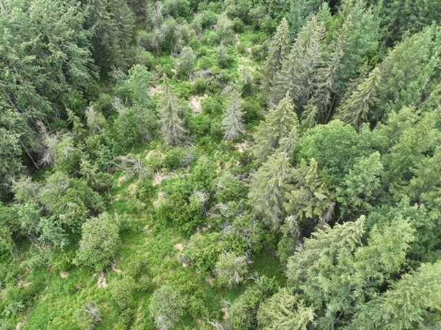 Rural Athabasca County, AB T9S 2A4,NW 30-68-22-W4