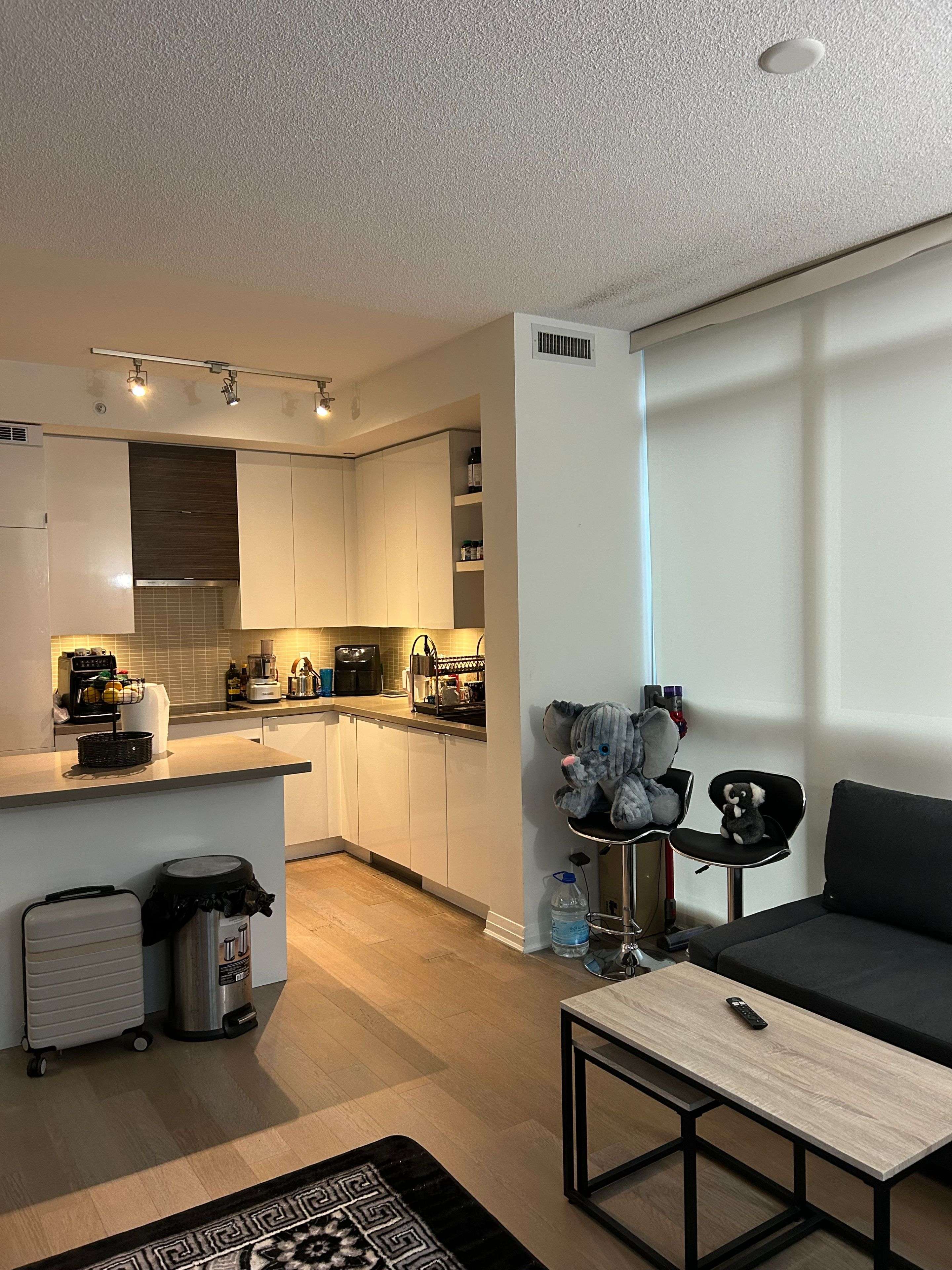 Toronto W06, ON M8V 0C5,60 Annie Craig DR #B412