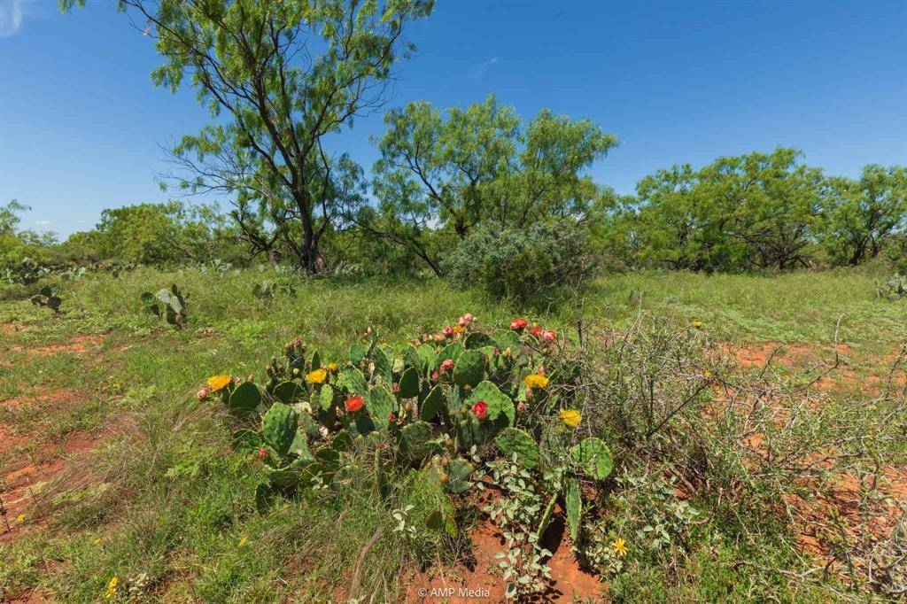Trent, TX 79561,TBD FM 1085