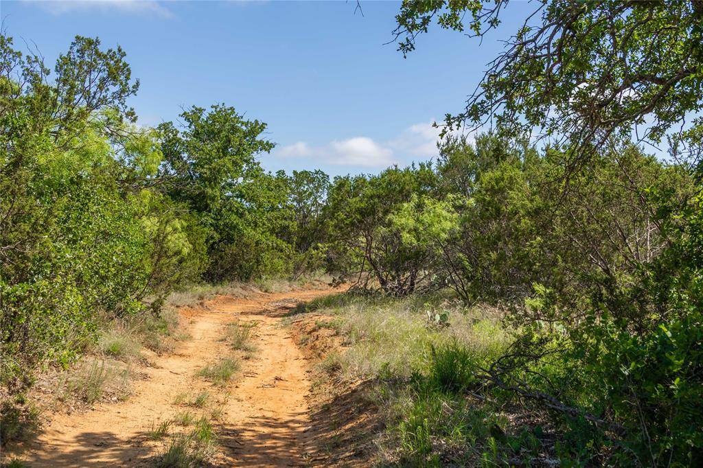 Santa Anna, TX 76878,1448 County Road 121