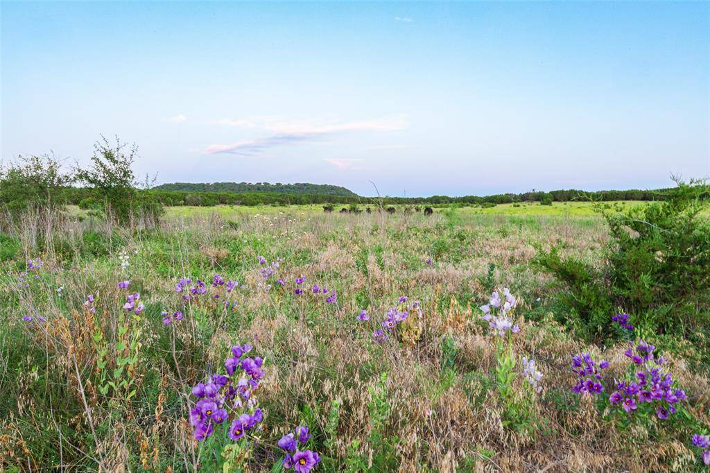 Jonesboro, TX 76538,11439 Fm 1602