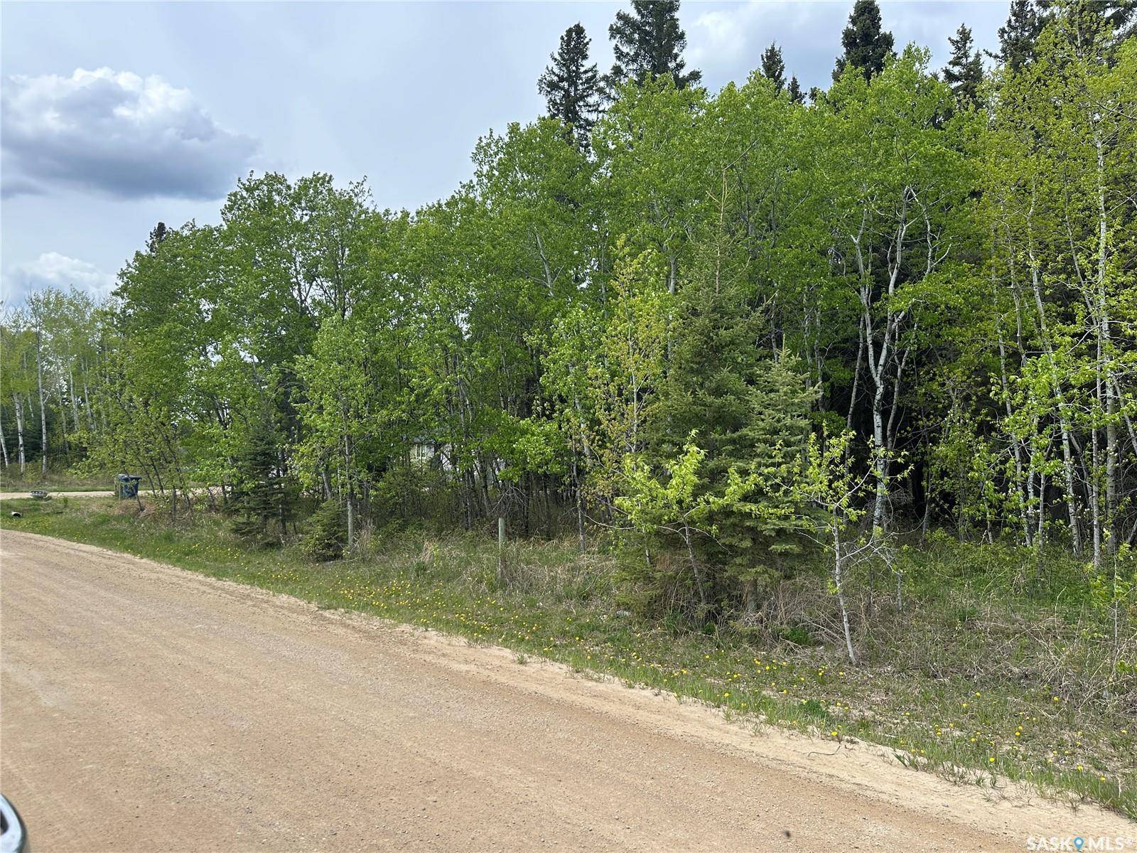 Big River, SK S0J 0E0,1 George STREET