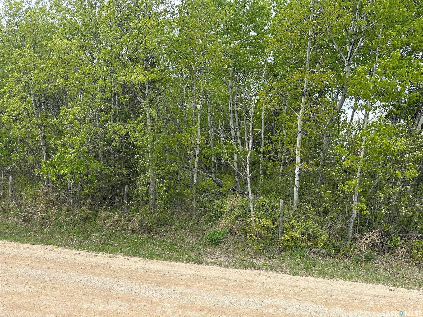 Big River, SK S0J 0E0,1 George STREET