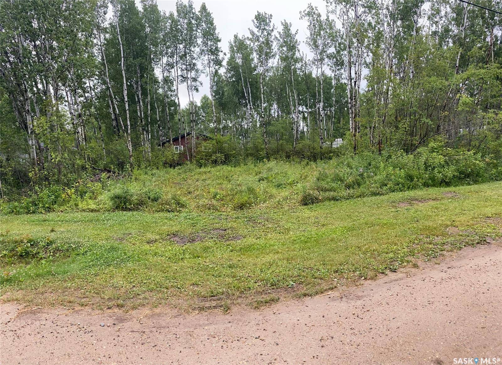 Big River Rm No. 555, SK S7J 0E0,1 Delaronde ROAD