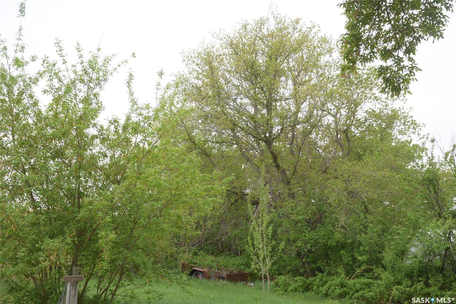 North Qu'appelle Rm No. 187, SK S0G 1S0,47 Taylor STREET