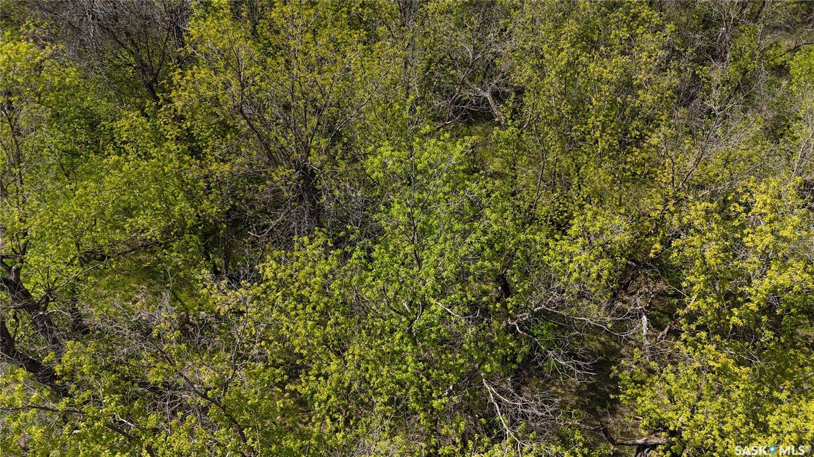 North Qu'appelle Rm No. 187, SK S0G 1S0,405 Mackie STREET